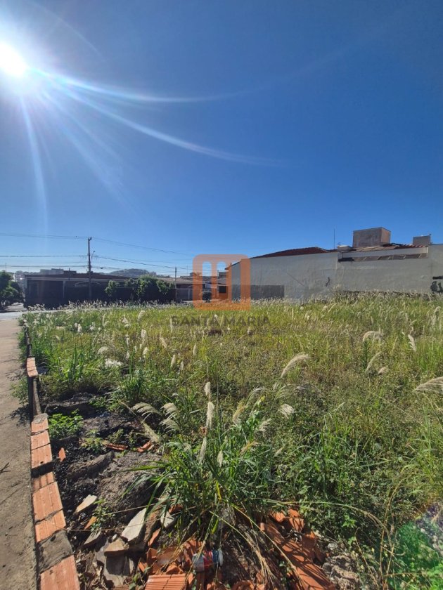 Terreno para comprar em Parque Bandeirantes, Ribeirão Preto - Terreno/Lote (unidade) - foto 2 código 78095