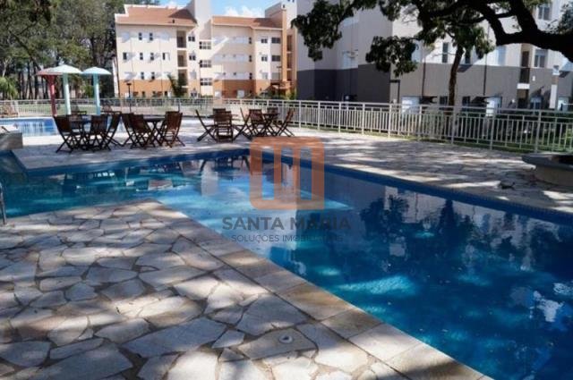 Apartamento para comprar em Jardim Sao Jose, Ribeirão Preto - Piscina(s) (condomínio) - foto 5 código 41181