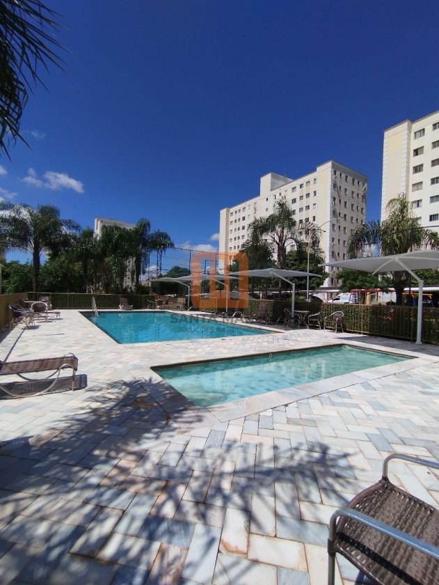 Apartamento para comprar em Guaporé, Ribeirão Preto - Piscina(s) (condomínio) - foto 15 código 77989