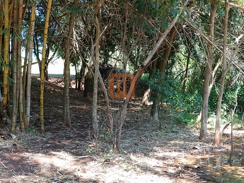 Terreno para comprar em Alto Da Boa Vista, Cravinhos - Outros (condomínio) - foto 5 código 73537